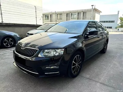 2017 Škoda Octavia TSI280 DSG ZhiXing, фото 1, лот 10956565