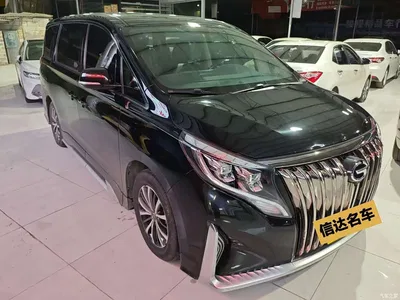 2021 GAC Trumpchi Trumpchi M8 Facelift Leading Series 390T Luxury Edition, фото 2, лот 10594321