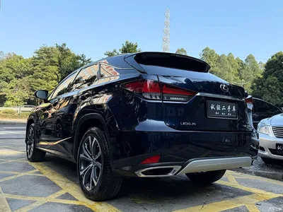 2021 Lexus RX 300 AWD Special Edition, фото 3, лот 10317053