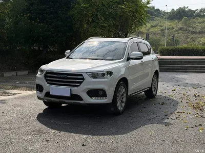 2018 Haval H2 Blue Label 1.5T DCT 2WD Luxury, фото 1, лот 10300292