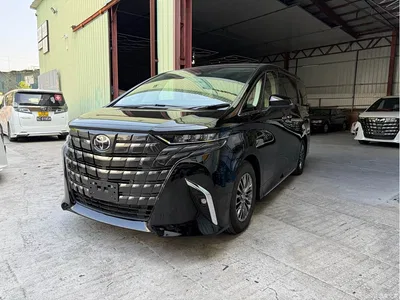 2025 Toyota Alphard Hybrid 2.5L Ultimate Gold Edition, фото 1, лот 10315209