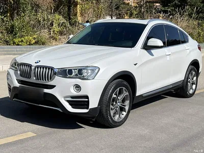 2014 BMW X4 xDrive20i X Design Package, фото 2, лот 10476968
