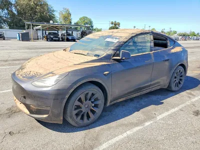 2024 TESLA MODEL Y, фото 1, лот 10852333