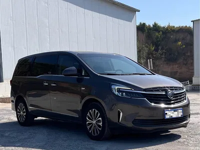 2021 Buick GL8 Land Business Class 652T Luxury, фото 3, лот 11533954