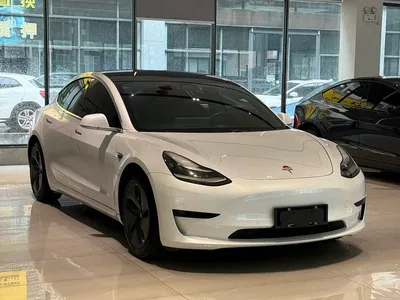 2019 Tesla Model 3 Standard Range Rear-Wheel Drive Upgrade, фото 3, лот 10355396