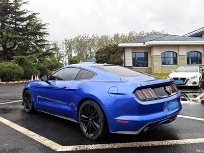 2017 Ford Mustang 2.3T Performance Edition, фото 4, лот 11532389