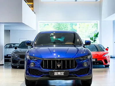 2019 Maserati Levante 3.0T Standard Edition China V, фото 2, лот 10322900