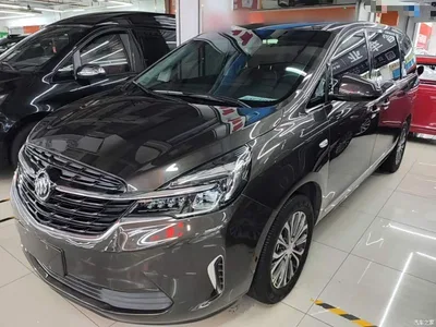 2021 Buick GL8 Land Business Class 652T Luxury, фото 2, лот 10888762