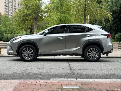 2020 Lexus NX 200 FWD Sharp Edition China V, фото 4, лот 11415215