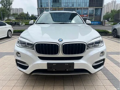 2017 BMW X6 xDrive28i, фото 2, лот 10469093