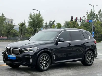 2022 BMW X5 Facelift xDrive 30Li Premium M Sport Package, фото 1, лот 11203616