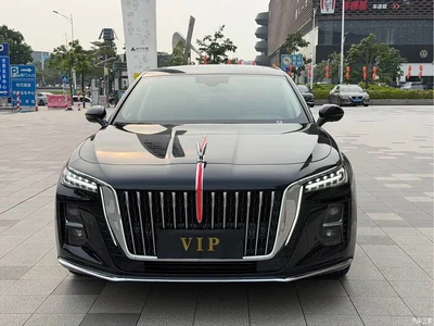 2024 Hongqi H5 1.5T DCT Smart Connect Flag Joy Edition, фото 2, лот 11135913