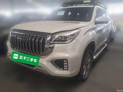 2022 Haval H9 2.0T Gasoline 4WD Smart Enjoyment 5-seater, фото 1, лот 11583266