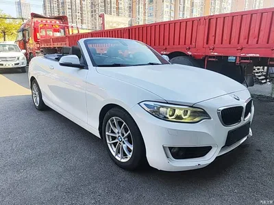2015 BMW 2 Series (Import) 218i Convertible Coupe, фото 4, лот 11579845