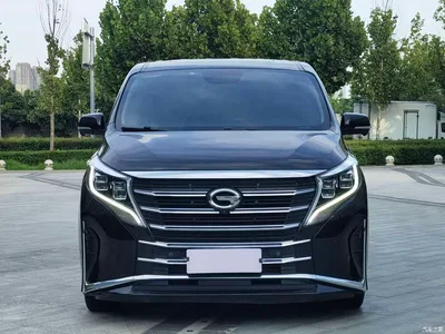 2021 GAC Trumpchi Trumpchi M8 Leading Show Series 390T Ultimate Edition, фото 2, лот 10629846