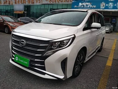 2021 GAC Trumpchi Trumpchi M8 Leading Show Series 390T Luxury Edition, фото 2, лот 10422876