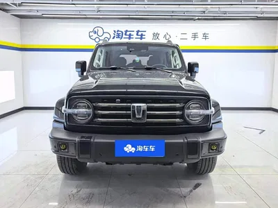 2021 Tank 300 Urban Edition 2.0T Stylish, фото 2, лот 10344306