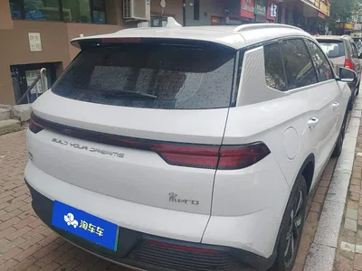 2023 BYD Song Pro New Energy Champion Edition DM-i 110KM Surpassing Type, фото 3, лот 11102588
