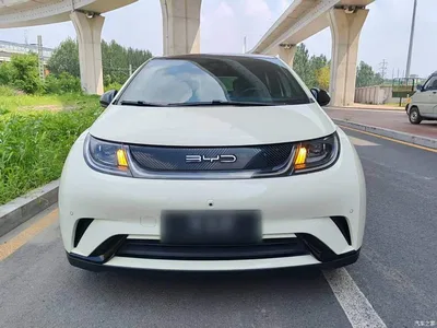 2023 BYD Dolphin 420km Fashion Edition, фото 3, лот 10264049