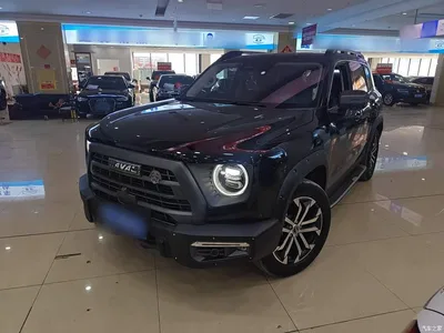 2022 Haval Big Dog 1.5T DCT 2WD Malinois Hunting Edition, фото 2, лот 10361290