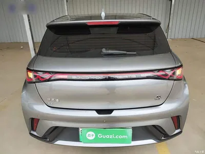 2023 BYD Dolphin 420km Fashion Edition, фото 4, лот 10260487