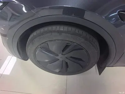2025 Tesla Model Y Rear-Wheel Drive, фото 3, лот 10400752