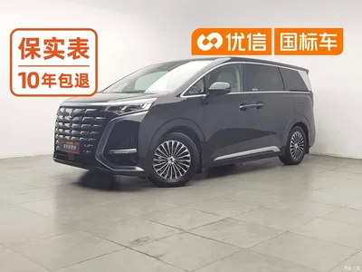 2024 Denza D9 DM-i 1050 Premium, фото 1, лот 10351010