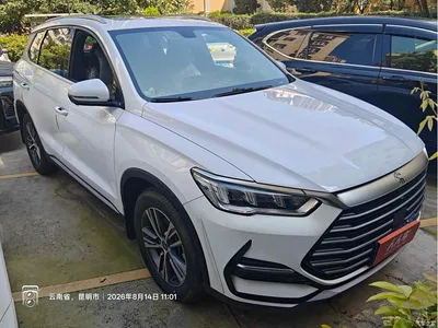 2021 BYD Song Pro 1.5T Auto Cloud Warrior Premium, фото 3, лот 10274362
