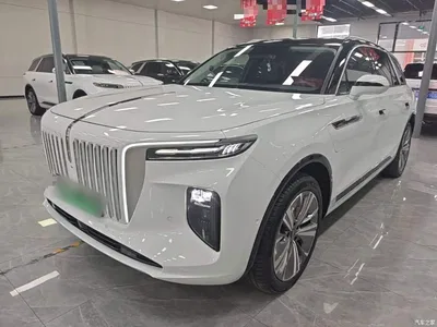 2022 Hongqi E-HS9 690km Qi Xiang Edition (6-seater), фото 2, лот 10289209