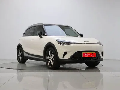 2024 smart Elf #1 Agile Standard Edition, фото 2, лот 10344554