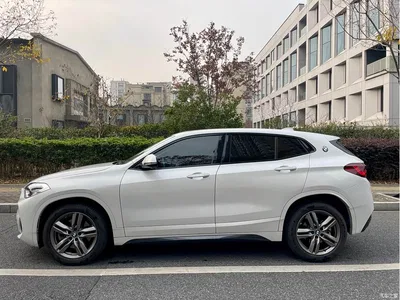 2021 BMW X2 sDrive25i Leading M Sport Package, фото 4, лот 10475454