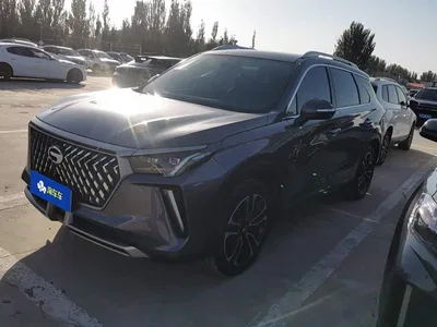 2021 GAC Trumpchi Trumpchi GS4 PLUS 390T Automatic Nebula Edition, фото 1, лот 11585546