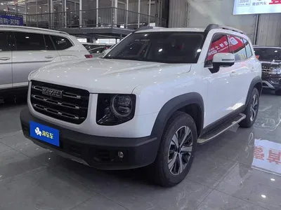 2022 Haval Big Dog 1.5T DCT FWD Labrador Edition, фото 2, лот 10351509