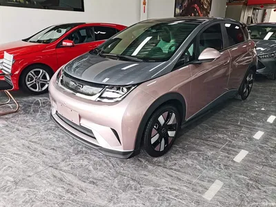 2021 BYD Dolphin 401km Knight Edition, фото 2, лот 10263708