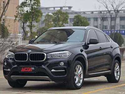2015 BMW X6 xDrive35i Luxury Model, фото 1, лот 10469375