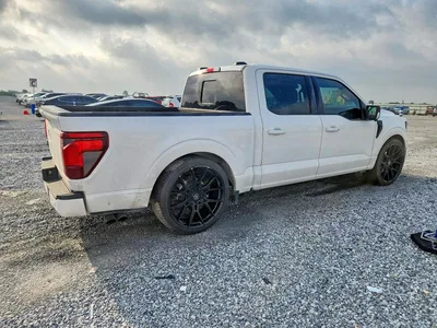 2025 FORD F150 XLT, фото 3, лот 10553677