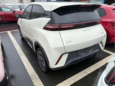 2024 BYD Seagull Glory Edition 305km Freedom Edition, фото 4, лот 10257597