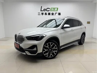 2021 BMW X1 xDrive25Li Exclusive, фото 1, лот 10466606