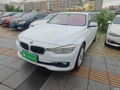 2016 BMW 3 Series 320Li Progressive, фото 2, лот 11386334
