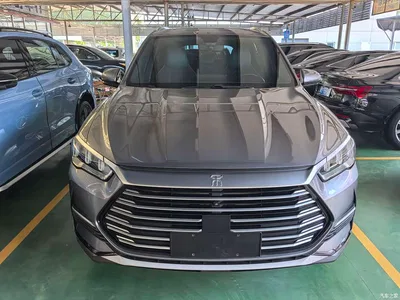 2021 BYD Song Pro 1.5T Auto Cloud Warrior Premium, фото 2, лот 10274770