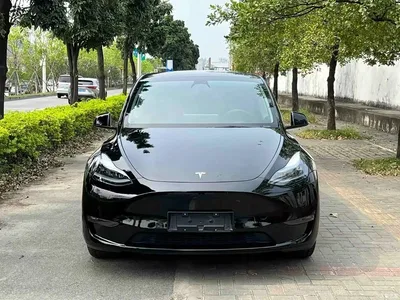 2023 Tesla Model Y Long Range All-Wheel Drive Edition, фото 2, лот 10403315