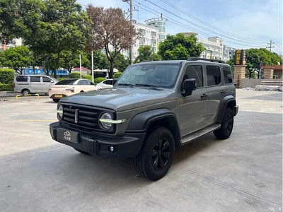 2021 Tank 300 Off-road Version 2.0T Conqueror, фото 1, лот 10344559