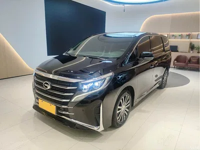 2021 GAC Trumpchi Trumpchi M8 Leading Show Series 390T Prestige Edition, фото 1, лот 10415195