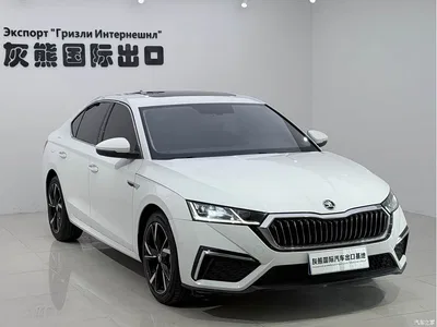 2023 Škoda Octavia Facelift PRO TSI280 Luxury Edition, фото 3, лот 10348763