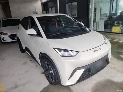 2023 BYD Seagull Freedom Edition, фото 4, лот 11195067