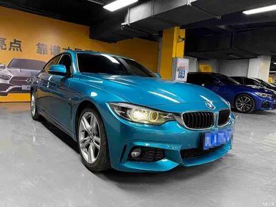 2017 BMW 4 Series 425i Gran Coupe Leading M Sport Package, фото 3, лот 10392912