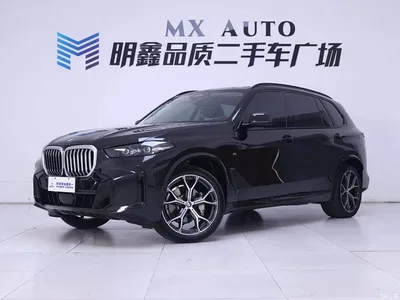 2023 BMW X5 xDrive 30Li Premium M Sport Black Night Package, фото 2, лот 10412423