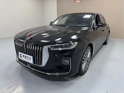 2020 Hongqi H9 2.0T Smart Connection Qi Chang Edition, фото 1, лот 10287575