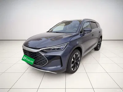 2024 BYD Tang New Energy Model DM-i Glory Edition 112KM Flagship Type, фото 1, лот 11175217