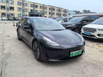 2021 Tesla Model 3 Standard Range Rear-Wheel Drive Upgrade, фото 3, лот 10360174